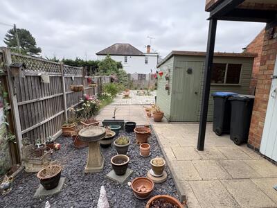 Picture 11